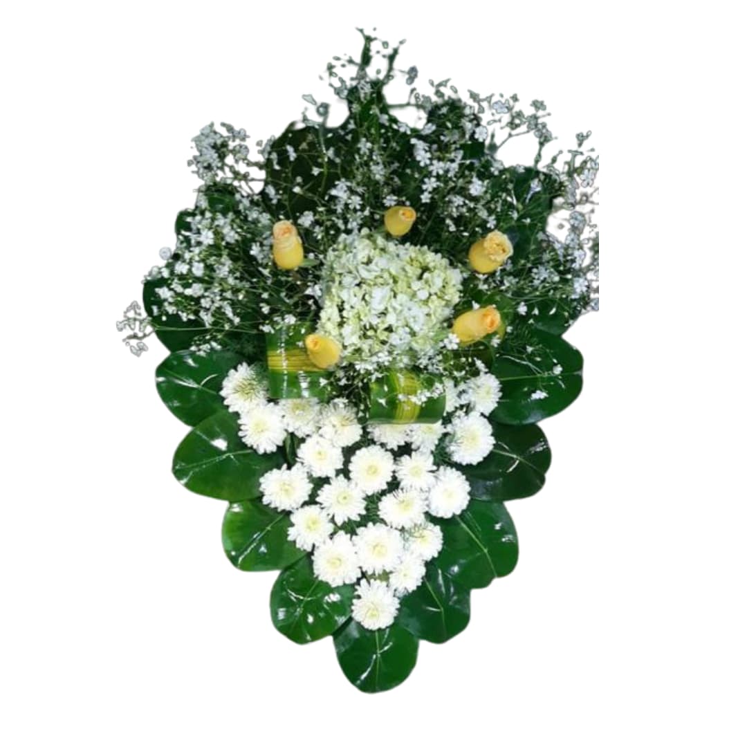 Imagen de Funebre Lágrima